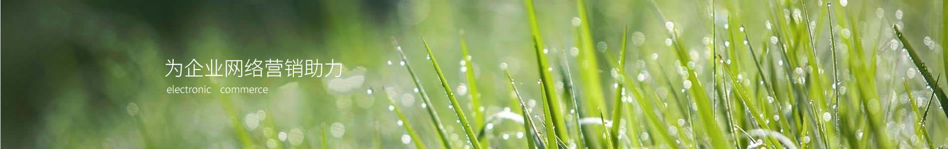 ŰܽŷƼ޹˾
